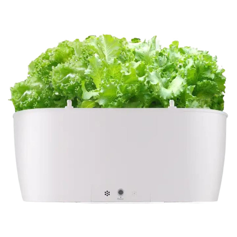 Self Watering Smart Planting Pot